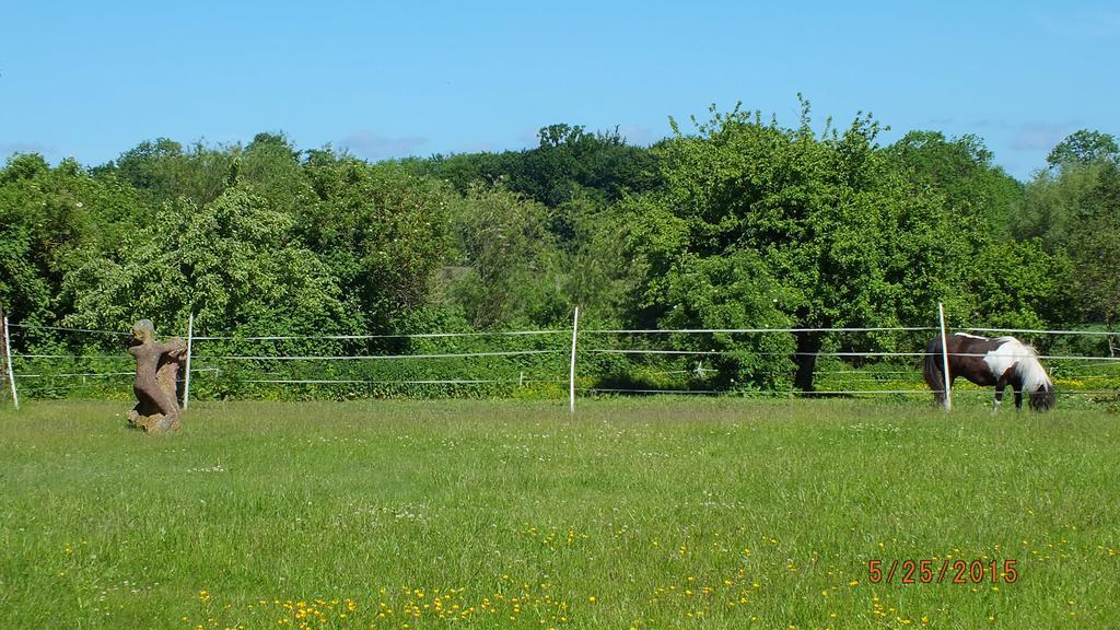Rotes Haus Villa Brook Exteriör bild